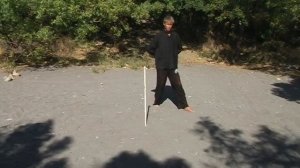 Комплекс с шарами баодинга.Техника багуачжан.