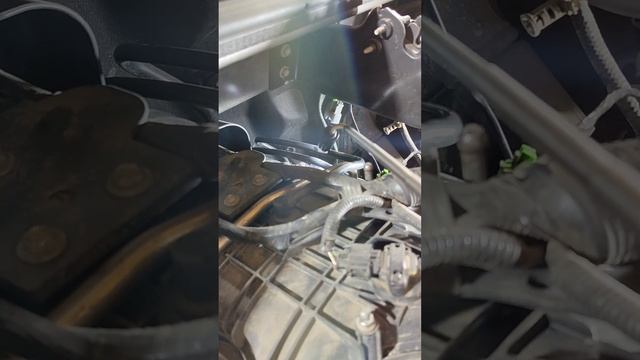 Причина расхода масла на ДВС GM Tahoe Escalade Hummer 5.3/6.0/6.2 L92 L9H L94 LQ4 LQ9 LMG LY5 смотреть онлайн