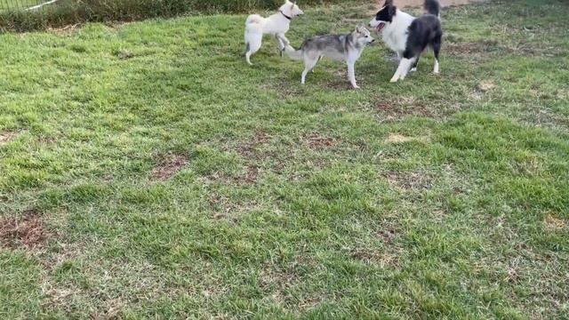 Life : Morning Sketch on 06/10/2023 смотреть онлайн