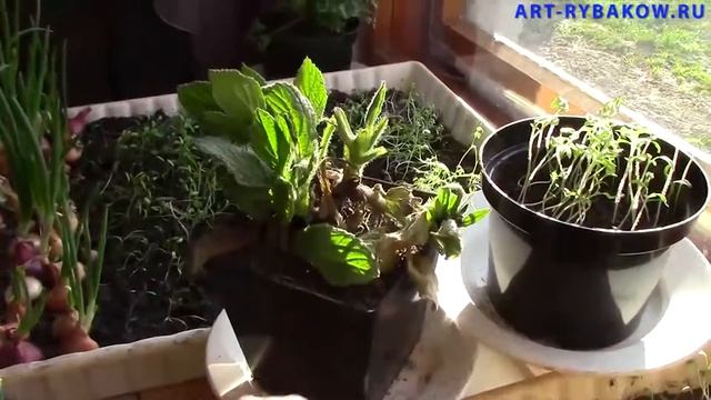 Мастерство в Деталях