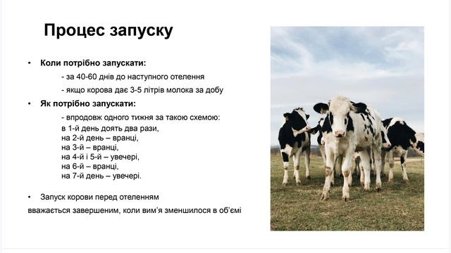 Підготовка корів до зимового періоду смотреть онлайн