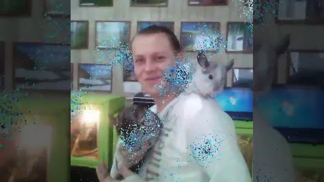 21 декабря 2023 г. смотреть онлайн