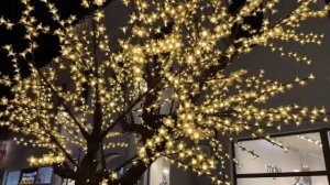 iPhone 12. Камера iPhone 12. Тестируем камеру на iPhone 12. Ночная съемка.