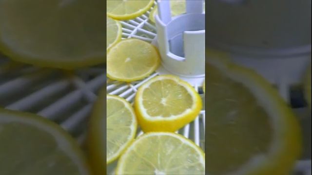 Cушу лимон в сушилке смотреть онлайн