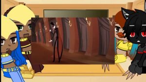 Реакция Египтуса на тт