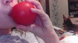 Учу целоваться с помидоркой)))