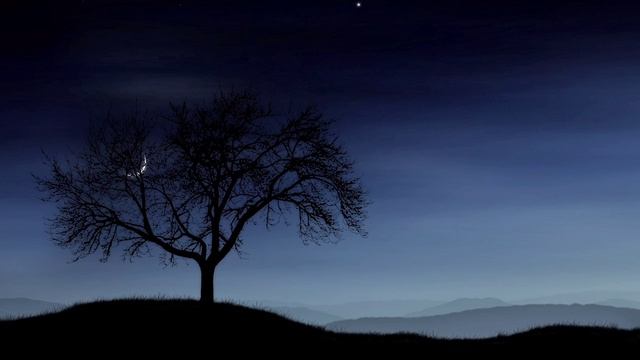 Притча "Дерево" Что бы не думали о тебе другие, всегда оставайся собой смотреть онлайн