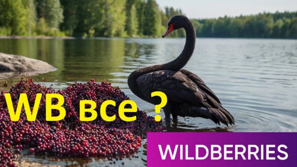 Wildberries все? Маркетплейсы Маркет Ozon Yandex market Megamarket AliExpress только и ждут ВБ