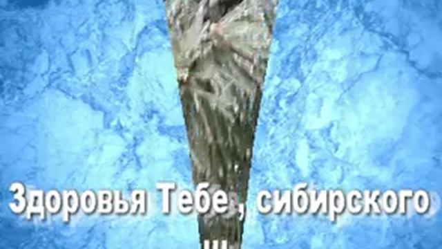 Ксенечка ...с Днем рождения Тебя!!!