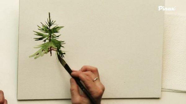 Pinax Dagger Liner 919