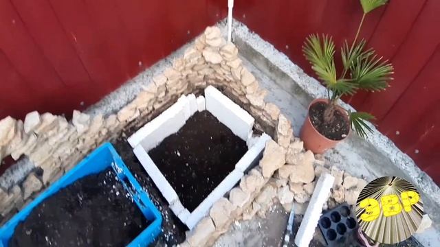 Трахикарпус Вагнера смотреть онлайн