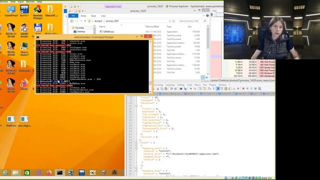 PE-sieve demos (for Pentester Academy ToolBox) смотреть онлайн