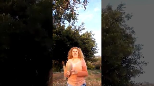 Хлебное дерево?☺ смотреть онлайн