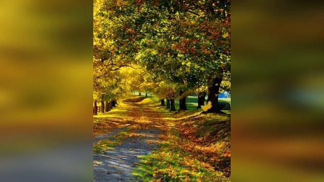 А Я СМОТРЕЛ КАК ЛИСТЬЯ ОПАДАЛИ... Автор : Долайчук Виталий, Читает Марина Ермолаева смотреть онлайн