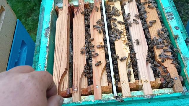 Нуклеусный парк. Полное боевое состояние. Первый результат. смотреть онлайн