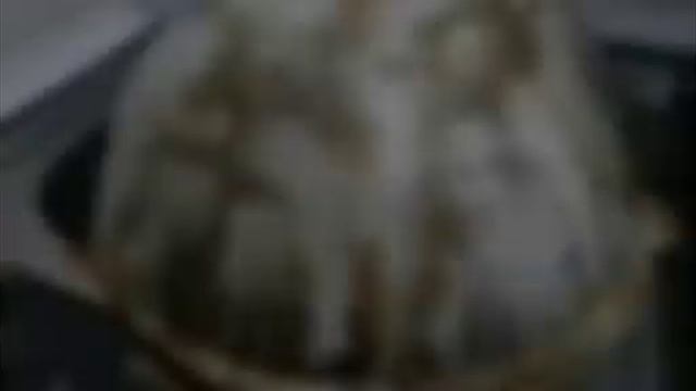 Azelit ###asmr смотреть онлайн