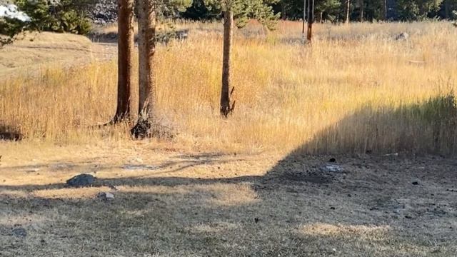 320 Guest Ranch Video смотреть онлайн