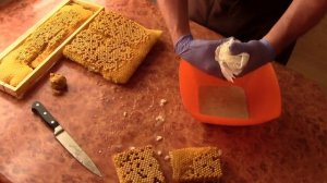 Гомогенат или трутневое молочко. Как сделать и хранить трутневый гомогенат.