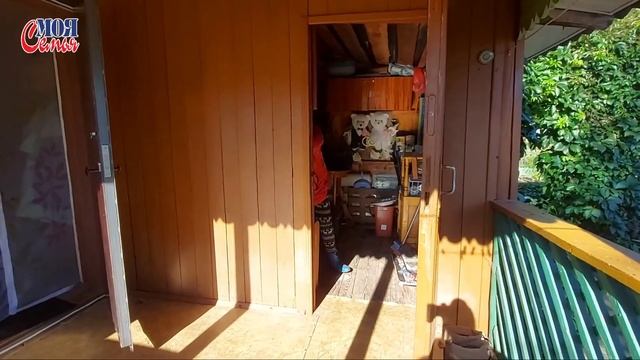 Что мы вырастили на огороде//наш урожай//осень 2020//моя семья//семейный влог//наша дача/family Vlo