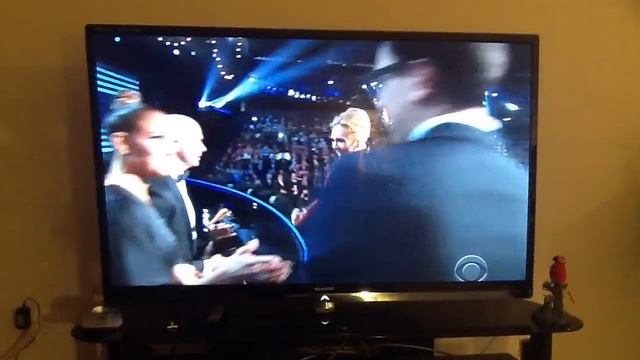 GRAMMY'S 2013 - Jennifer Lopez And Pitbul Present Best Pop Performance. смотреть онлайн