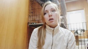 Как найти причину того, что кошка стала пИсать мимо лотка.