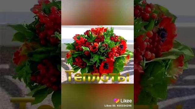 17 февраля 2020 г. смотреть онлайн