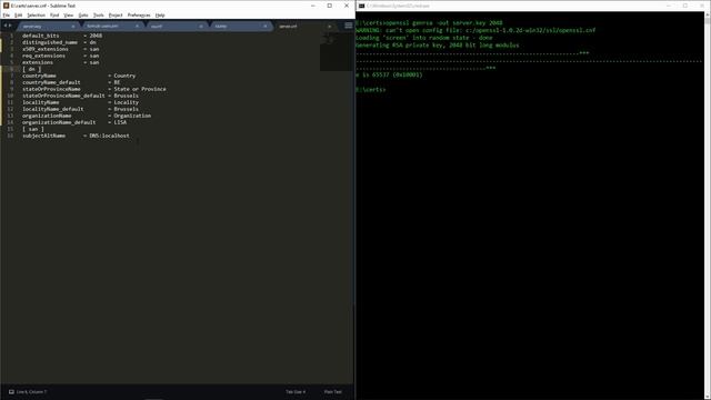Creating certificates with OpenSSL | Security 6 смотреть онлайн