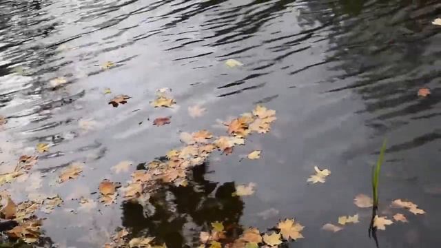 Осень в Барвенково смотреть онлайн