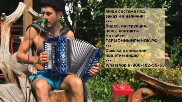 Приходите в мой дом! Лучшее исполнение на гармони! Алексей Симонов! Миди гармонь! Электро гармонь