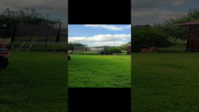 1000032554.mp4 смотреть онлайн