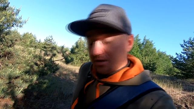 Грибы в ИЮНЕ жарим МАСЛЯТА в ЛЕСУ! смотреть онлайн