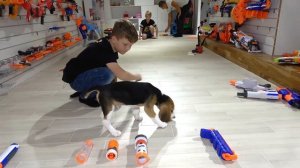 Щенок Собрал Самый Крутой НЕРФ. Брос Шоу