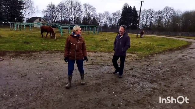 ЗАПРЯГЛИ ВОРОНУЮ КОБЫЛУ/ЖЕРЕБЧИК СОВЕТСКИЙ ТЯЖЕЛОВОЗ смотреть онлайн