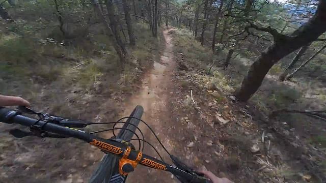 This May Be My New Favourite Mtb Destination!