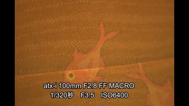 【トキナーatx-i 100mm F2.8 FF MACROとAT-X 17-35 F4 PRO FXで】伊豆急Resort21を撮る！（動画No.438） смотреть онлайн