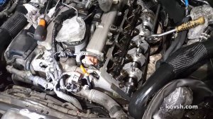 Замена распредвала без снятия двигателя на VW Touareg I 4.9d AYH
