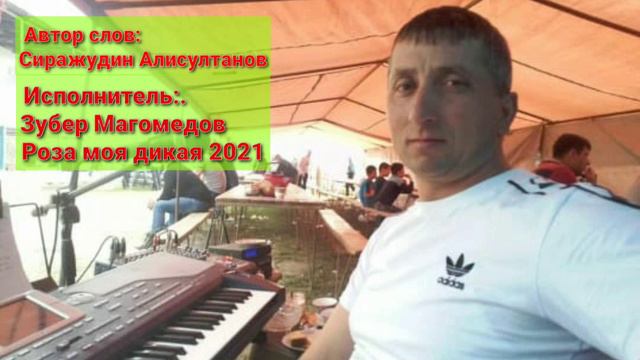 Зубер Магомедов - Роза моя дикая 2021г смотреть онлайн