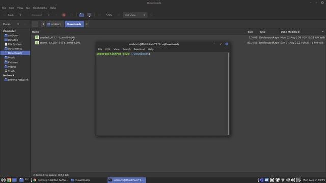 How to Install AnyDesk on Linux Mint (20.2 Uma) смотреть онлайн