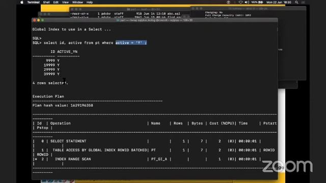LuxOUG VTD Day 1 - Piet de Visser смотреть онлайн