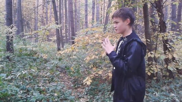 Куда стелс-тропинка меня привела? смотреть онлайн