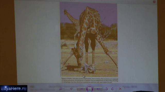 Лекции о здоровье-1: Здоровье, болезни, гены смотреть онлайн