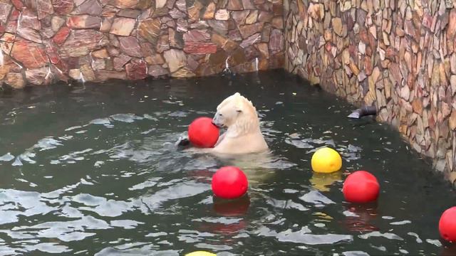 Краски осени смотреть онлайн