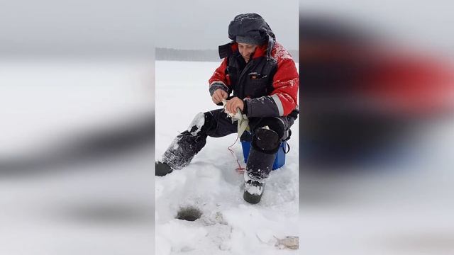 Белоярка Насосная,отличный клёв. смотреть онлайн