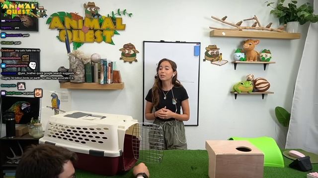 ANIMAL QUEST Ep 17: Rat Edition смотреть онлайн