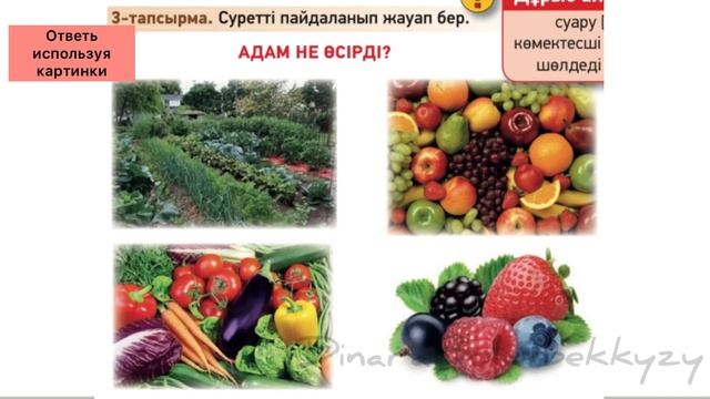 Судың пайдасы 3 сынып. Қазақ тілі. Казахский язык. 3 класс. Для русских школ. смотреть онлайн