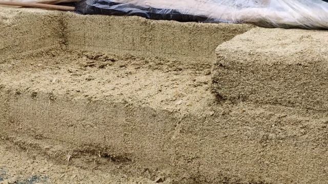 Новые Фернерские технологии.. Кормим коров соломой, а телят с ложки? |Ферма в Германии #деньвдеревн смотреть онлайн
