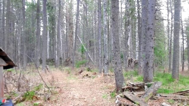 Таёжный промысел 2 смотреть онлайн