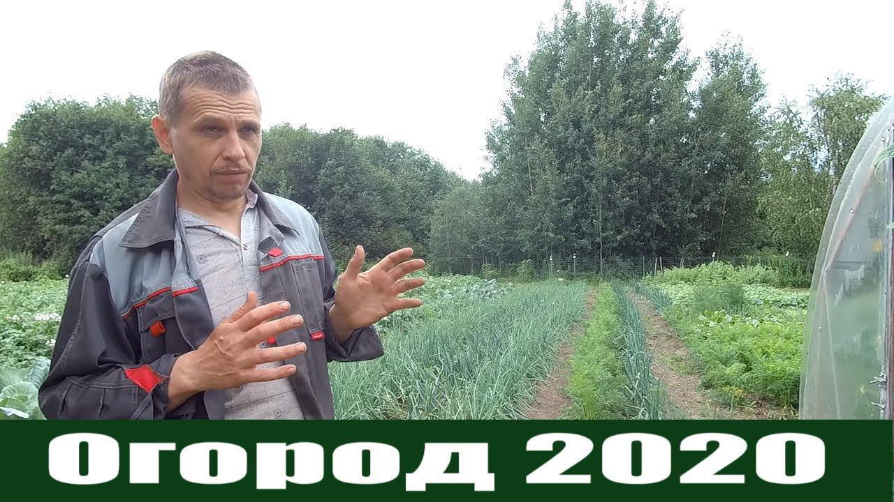 Урожайный огород 2020 или "Как потопаешь, так и полопаешь"! смотреть онлайн