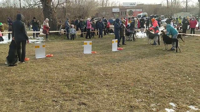 VID 20201031 101131 смотреть онлайн