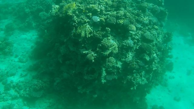 Египет-ч.4 Шарм эль Шейх:экскурсия "Батискаф" (Egypt-e.4 Sharm el Sheikh:Royal Seascope Submarine смотреть онлайн